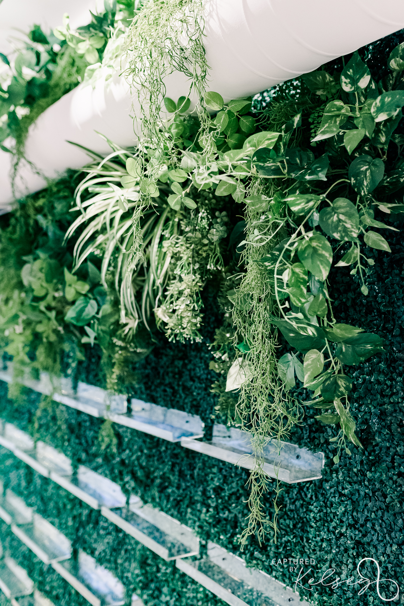 ANN-ARBOR-WEDDING-PHOTOGRAPHER-THE-COLLINS-OFF-MAIN-CAPTURED-BY-KELSEY-BLOG-19 greenery escort wall