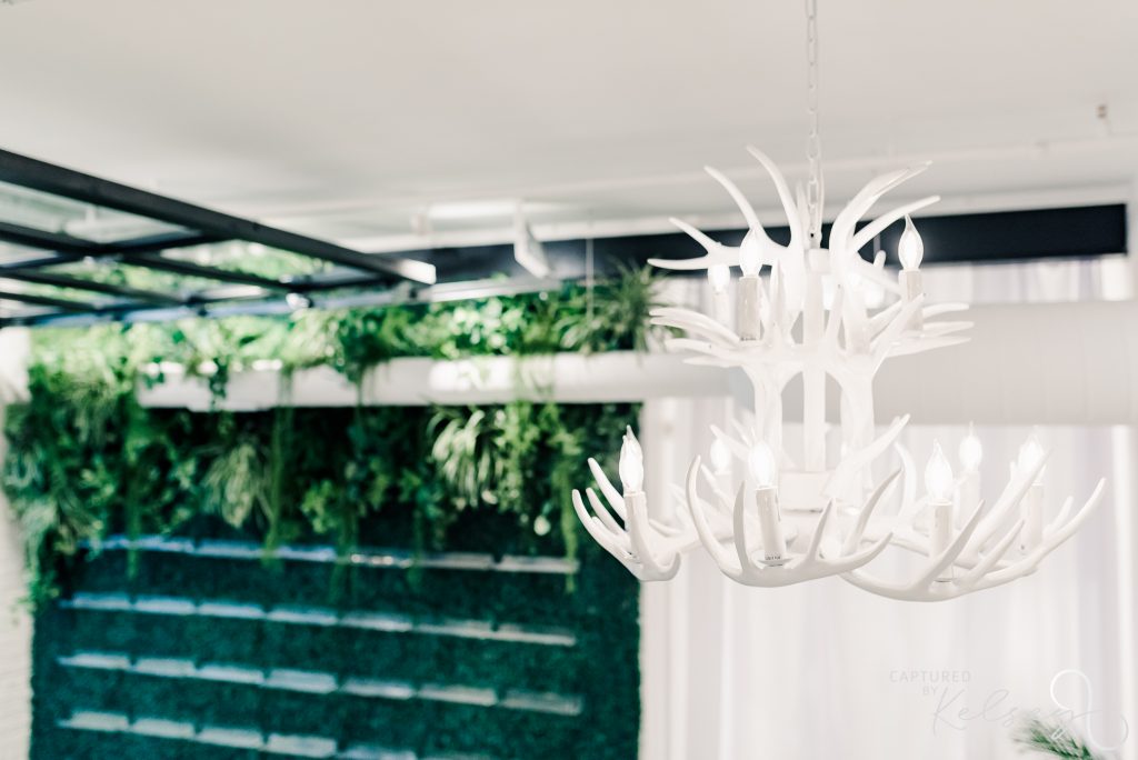 white antler chandelier