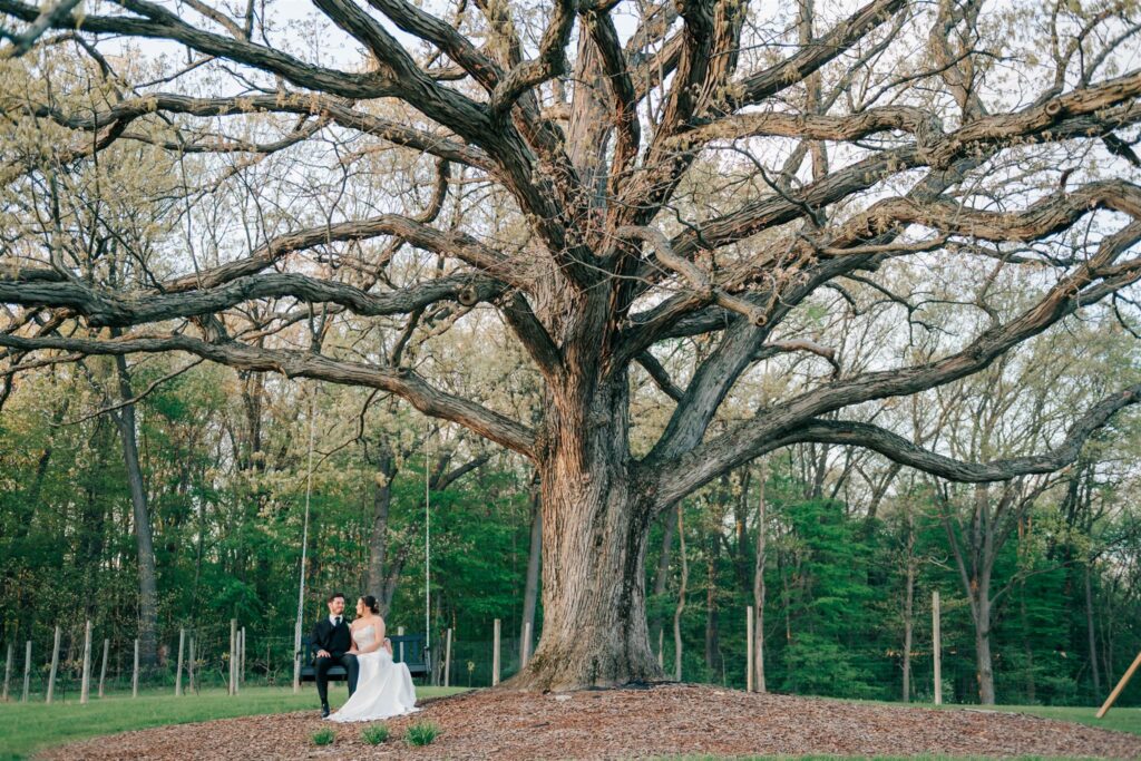 Bride and groom swinging on a swing on the property of Westers Vineyard in Michigan